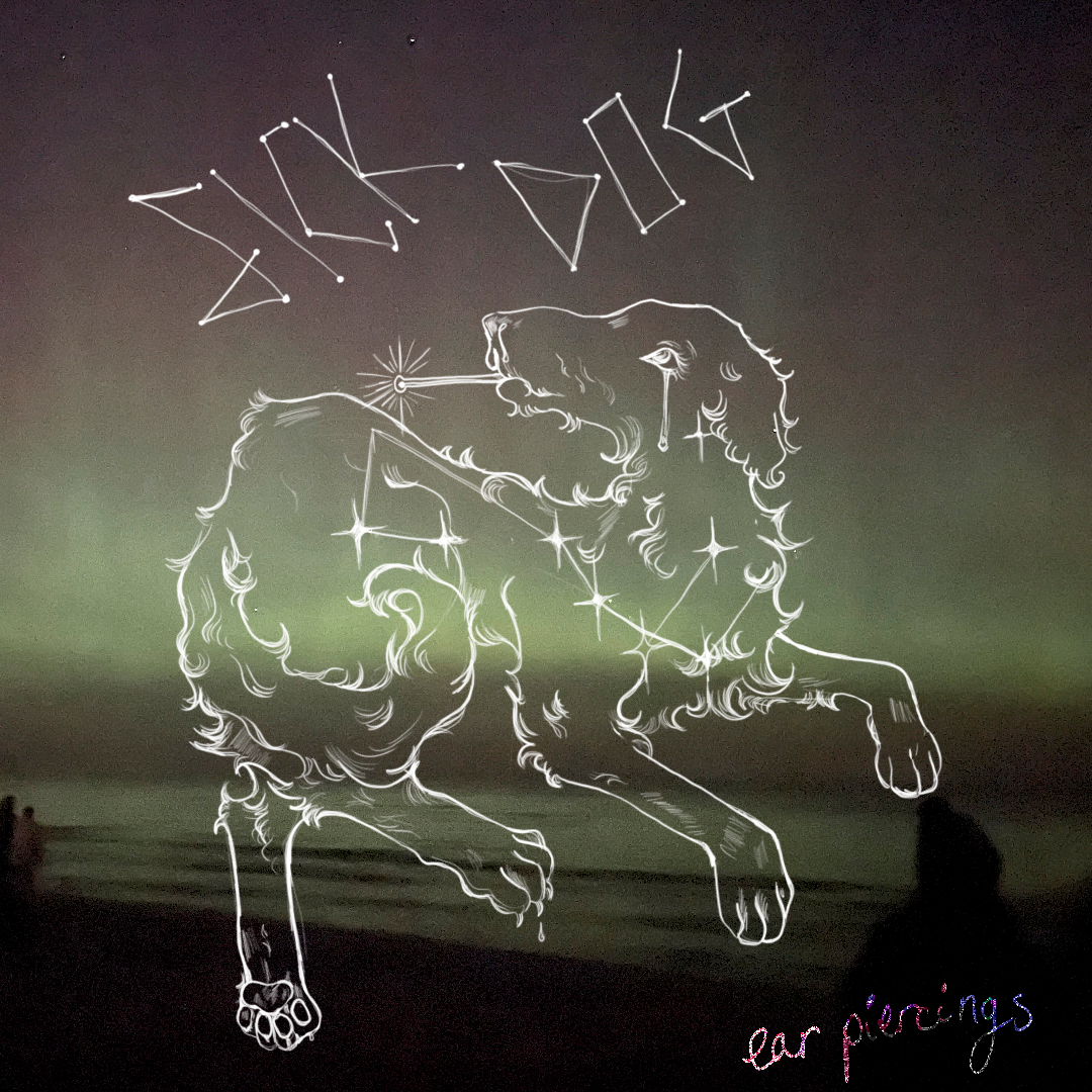 ear piercings album cover